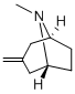 CAS#: 99838-33-2， 8-Methyl-3-Methylene-8-Aza-Bicyclo[3.2.1]Octane
