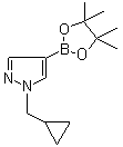 1-(Cyclopropylmethyl)-1H-pyrazole-4-boronic acid pinacol ester molecular structure (CAS 1000801-75-1)