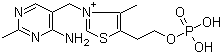 3-[(4-Amino-2-methyl-5-pyrimidinyl)methyl]-4-methyl-5-[2-(phosphonooxy)ethyl]thiazolium molecular structure (CAS 10023-48-0)