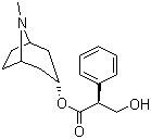 L-天仙子胺分子结构 (CAS 101-31-5)