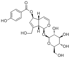 6-O-p-Hydroxybenzoylaucubin molecular structure (CAS 1016987-87-3)
