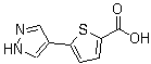 5-(1H-Pyrazol-4-yl)-2-thiophenecarboxylic acid molecular structure (CAS 1017794-49-8)