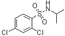2,4-Dichloro-N-(1-methylethyl)benzenesulfonamide molecular structure (CAS 1018135-23-3)