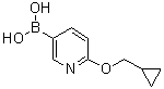 2-(环丙基甲氧基)吡啶-5-基硼酸分子结构 (CAS 1028749-31-6)