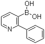 (2-苯基-3-吡啶基)硼酸分子结构 (CAS 1029654-14-5)