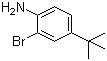 2-溴-4-叔丁基苯胺分子结构 (CAS 103273-01-4)