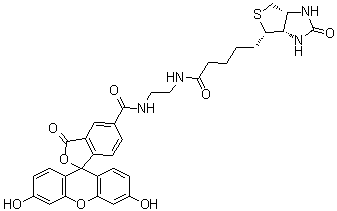 Biotin-4-Fluorescein molecular structure (CAS 1032732-74-3)