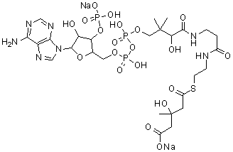 Coenzyme A S-(hydrogen 3-hydroxy-3-methyl pentanedioate) disodium salt molecular structure (CAS 103476-21-7)