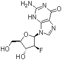 9-(2-脱氧-2-氟阿拉伯呋喃基)鸟嘌呤分子结构 (CAS 103884-98-6)