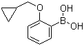structure of CAS# 1050510-36-5, 2-(Cyclopropylmethoxy)phenylboronic acid;2-(Cyclopropylmethoxy)benzeneboronic acid; [2-(cyclopropylmethoxy)phenyl]boranediol