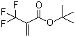 2-三氟甲基丙烯酸叔丁酯分子结构 (CAS 105935-24-8)