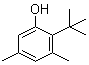 2-tert-Butyl-3,5-xylenol molecular structure (CAS 107054-79-5)