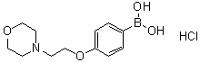 [4-[2-(4-Morpholinyl)ethoxy]phenyl]boronic acid hydrochloride (1:1) molecular structure (CAS 1072945-74-4)
