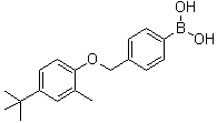 [4-[[4-(1,1-Dimethylethyl)-2-methylphenoxy]methyl]phenyl]boronic acid molecular structure (CAS 1072951-67-7)