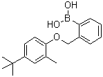 structure of CAS# 1072951-76-8, [2-[[4-(1,1-Dimethylethyl)-2-methylphenoxy]methyl]phenyl]boronic acid