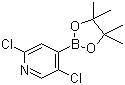 结构式 CAS# 1073353-98-6, 2,5-二氯吡啶-4-硼酸频哪醇酯