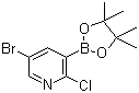5-Bromo-2-chloropyridine-3-boronic acid pinacol ester molecular structure (CAS 1073354-79-6)