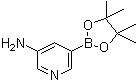 5-Aminopyridine-3-boronic acid pinacol ester molecular structure (CAS 1073354-99-0)