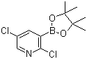 2,5-Dichloropyridine-3-boronic acid pinacol ester molecular structure (CAS 1073371-98-8)