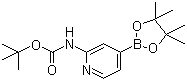 2-(Boc-amino)pyridine-4-boronic acid pinacol ester molecular structure (CAS 1095708-32-9)