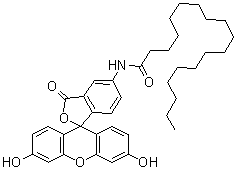 structure of CAS# 110698-53-8, 5-N-(Octadecanoyl)aminofluorescein;Fluorescein O 322