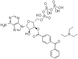Adenosine 5'-(tetrahydrogen triphosphate) 3'-(4-benzoylbenzoate) compd. with N,N-diethylethanamine molecular structure (CAS 112898-15-4)