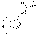 (4-氯-7H-吡咯并[2,3-d]嘧啶-7-基)甲基特戊酸酯分子结构 (CAS 1146629-75-5)