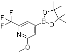 2-Methoxy-6-trifluoromethylpyridine-4-boronic acid pinacol ester molecular structure (CAS 1150561-66-2)