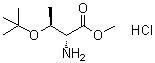 O-(1,1-Dimethylethyl)-D-threonine methyl ester hydrochloride molecular structure (CAS 115141-43-0)