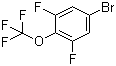 structure of CAS# 115467-07-7, 3,5-Difluoro-4-(trifluoromethoxy)bromobenzene