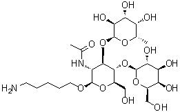 5-Aminopentyl O-6-deoxy-alpha-L-galactopyranosyl-(1→3)-O-[beta-D-galactopyranosyl-(1→4)]-2-(acetylamino)-2-deoxy-beta-D-glucopyranoside molecular structure (CAS 1159604-40-6)