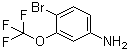 4-Bromo-3-(trifluoromethoxy)aniline molecular structure (CAS 116369-25-6)