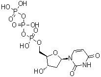 Deoxyuridine 5'-triphosphate molecular structure (CAS 1173-82-6)