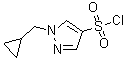 structure of CAS# 1178919-63-5, 1-(Cyclopropylmethyl)-1H-pyrazole-4-sulfonyl chloride