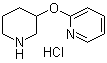 structure of CAS# 1185310-55-7, 2-(3-Piperidinyloxy)pyridine hydrochloride