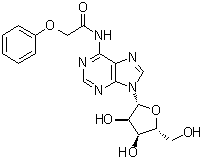N-(Phenoxyacetyl)adenosine molecular structure (CAS 119824-65-6)