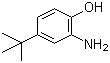 2-氨基-4-叔丁基酚分子结构 (CAS 1199-46-8)