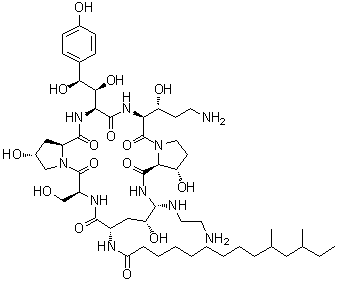 (3S)-(4R,5S)-5-[(2-Aminoethyl)amino]-N2-[(10R,12S)-10,12-dimethyl-1-oxotetradecyl]-4-hydroxy-L-ornithyl-L-seryl-(4R)-4-hydroxy-L-prolyl-(4S)-4-hydroxy-4-(4-hydroxyphenyl)-L-threonyl-(3R)-3-hydroxy-L-ornithyl-3-hydroxy-L-proline (6→1<sup>5</sup>)-lactam molecular structure (CAS 1202167-57-4)