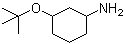 3-(1,1-Dimethylethoxy)cyclohexanamine molecular structure (CAS 1211592-87-8)