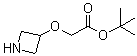2-(3-氮杂环丁基氧基)乙酸叔丁酯分子结构 (CAS 1243440-47-2)