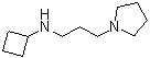 N-Cyclobutyl-1-pyrrolidinepropanamine molecular structure (CAS 1247864-15-8)