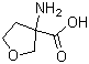 3-Aminotetrahydrofuran-3-carboxylic acid molecular structure (CAS 125218-55-5)