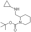 2-[(Cyclopropylamino)methyl]-1-piperidinecarboxylic acid tert-butyl ester molecular structure (CAS 1289386-32-8)