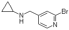 structure of CAS# 1289386-62-4, 2-Bromo-N-cyclopropyl-4-pyridinemethanamine