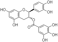 structure of CAS# 130405-40-2, (-)-Catechin gallate