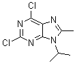 2,6-Dichloro-8-methyl-9-(1-methylethyl)-9H-purine molecular structure (CAS 1313026-86-6)