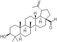 白桦脂醛分子结构 (CAS 13159-28-9)