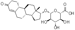 (17beta)-3-Oxoestr-4-en-17-yl beta-D-glucopyranosiduronic acid molecular structure (CAS 131749-24-1)