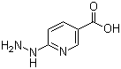 6-Hydrazinonicotinic acid molecular structure (CAS 133081-24-0)