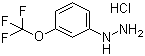 3-Trifluoromethoxyphenylhydrazine  molecular structure (CAS 133115-55-6)